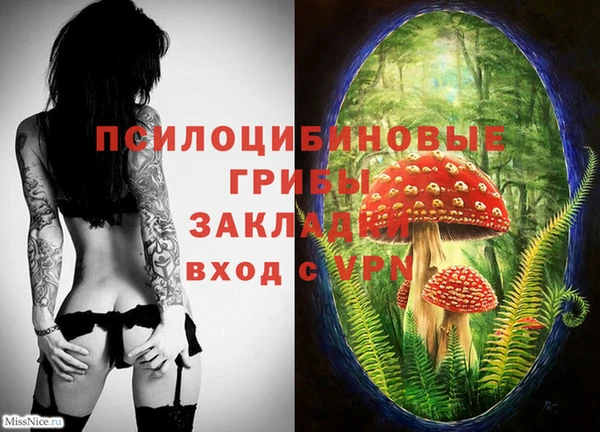 скорость Зеленодольск